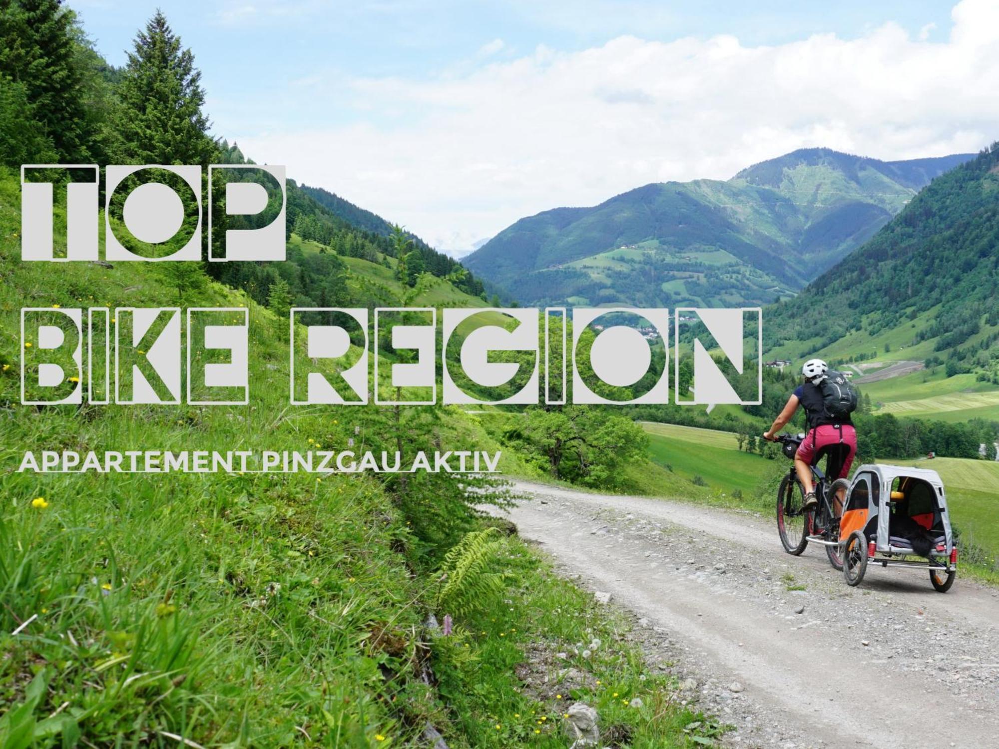 Zellamsee Aktiv Apartmán *