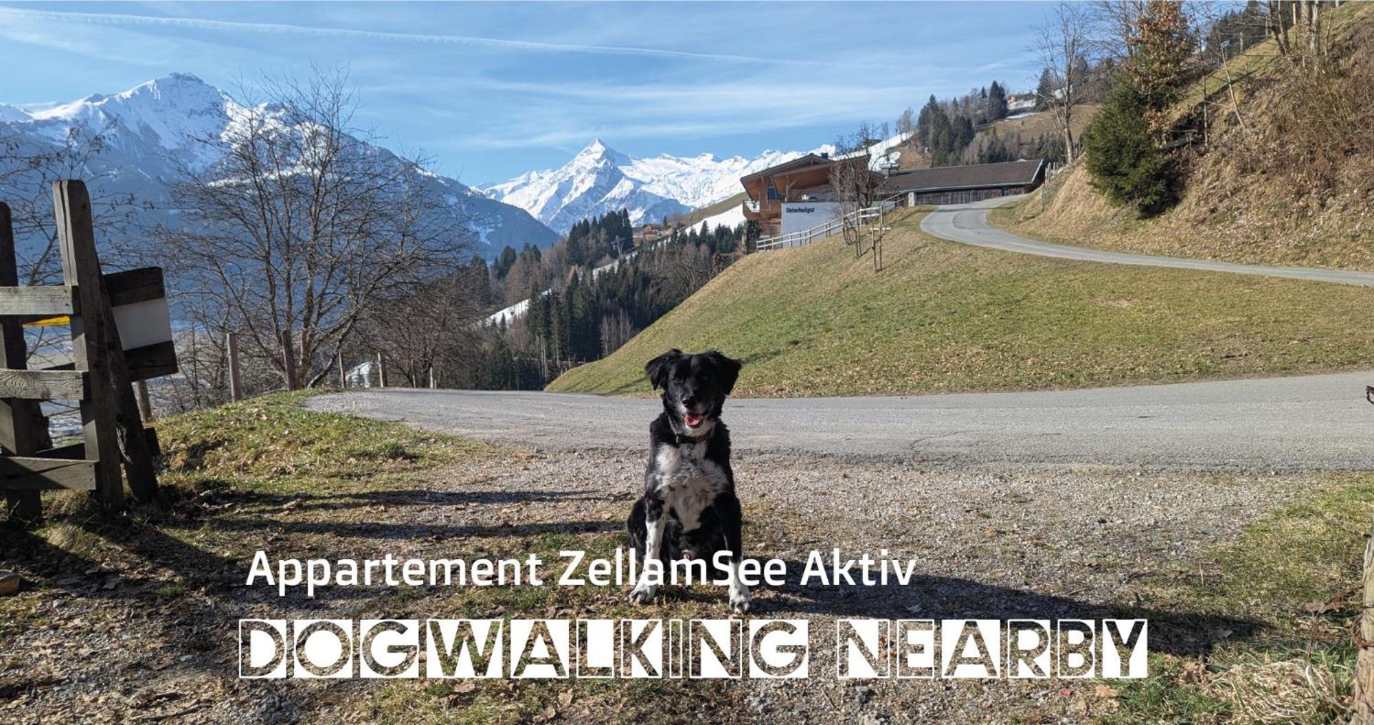 Apartment Zellamsee Aktiv Zell am See